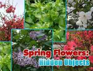 SPRING FLOWERS HIDDEN OBJECTS