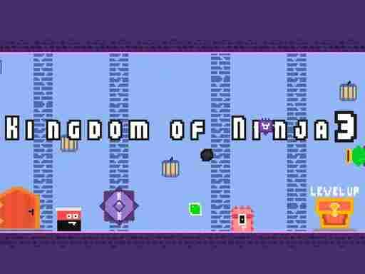 KINGDOM OF NINJA 3