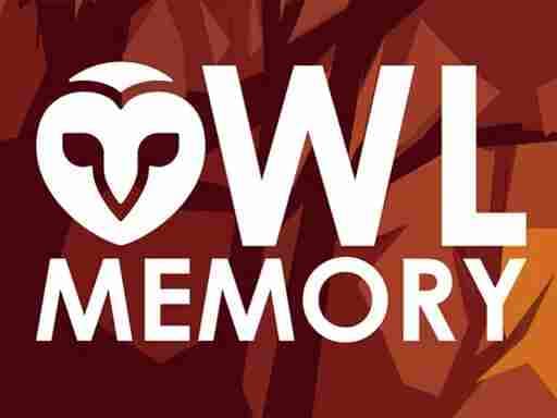 OWL MEMORY