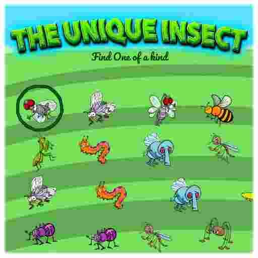 THE UNIQUE INSECT